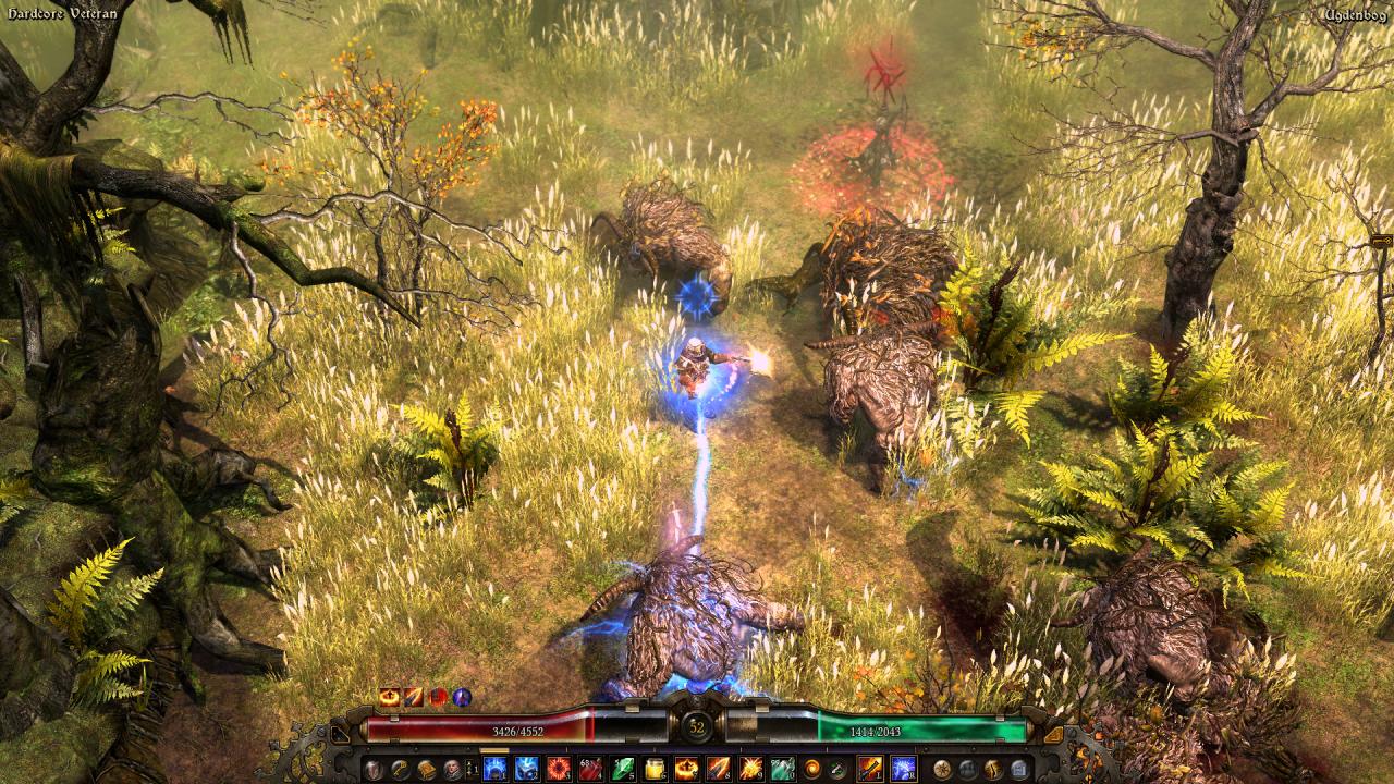 Grim Dawn Definitive Edition GOG CD Key