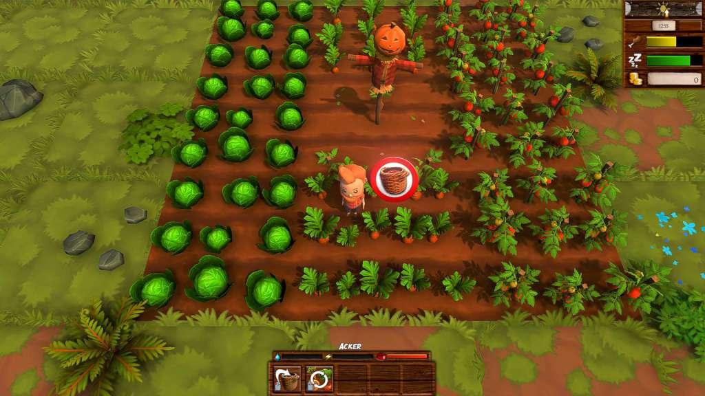 Harvest Life EU Nintendo Switch CD Key