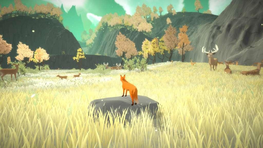 The First Tree GOG CD Key