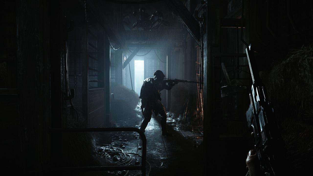 Hunt: Showdown 1896 PS4 Account
