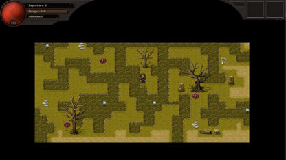 Legend of Miro Steam CD Key