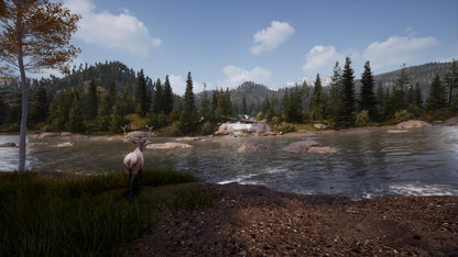 Hunting Simulator 2 PS5 Account