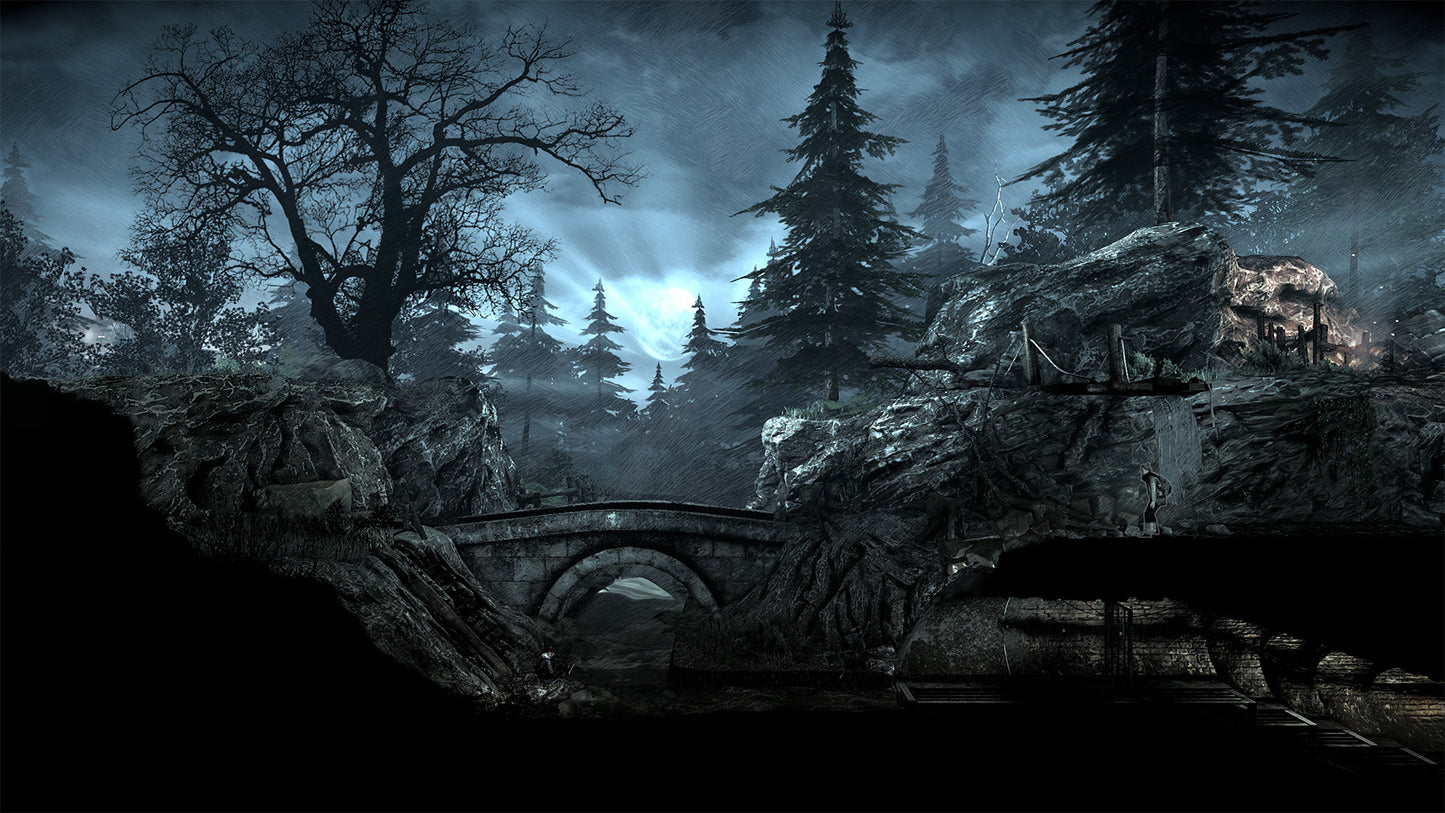 This War of Mine: Final Cut EU PC Steam CD Key