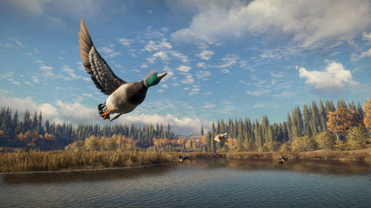 theHunter: Call of the Wild - Master Hunter Bundle XBOX One / Xbox Series X|S Account