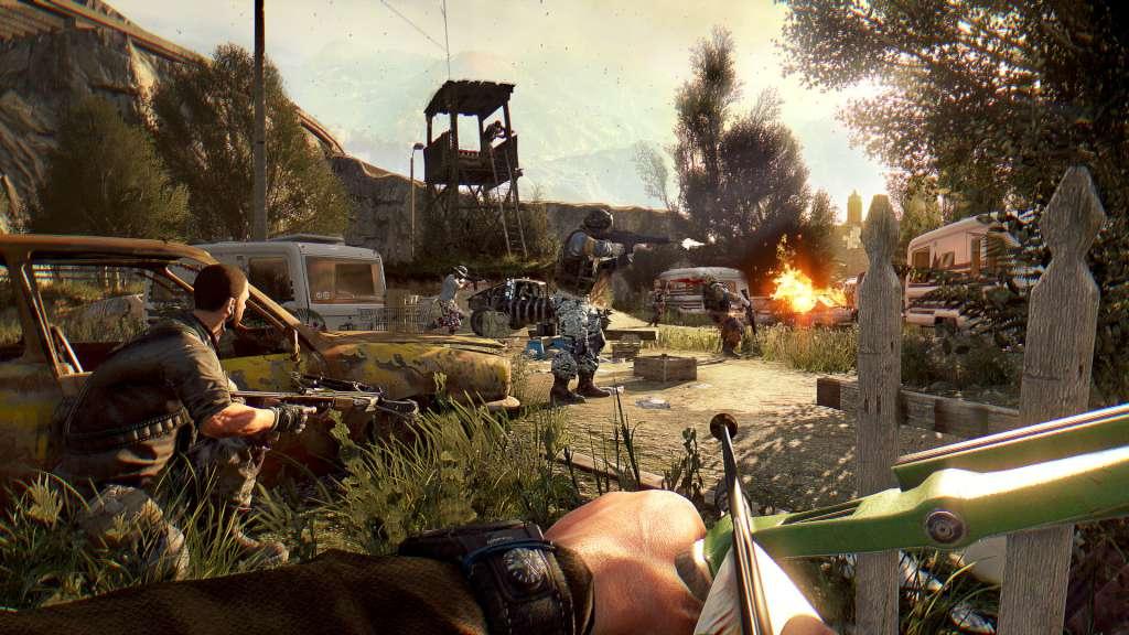 Dying Light: The Following Enhanced Edition PS4/PS5 Account 