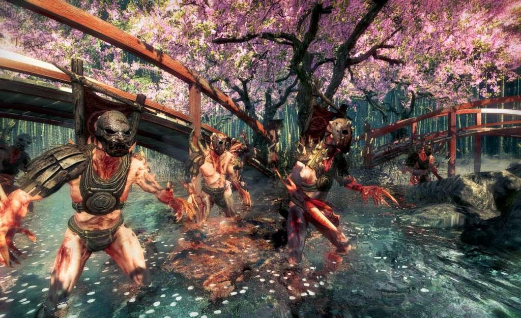 Shadow Warrior PC Steam CD Key