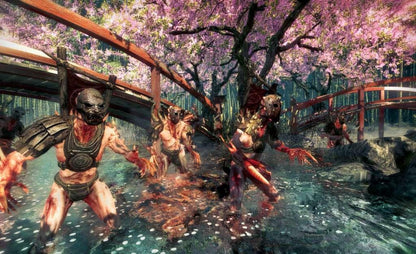 Shadow Warrior Steam Gift