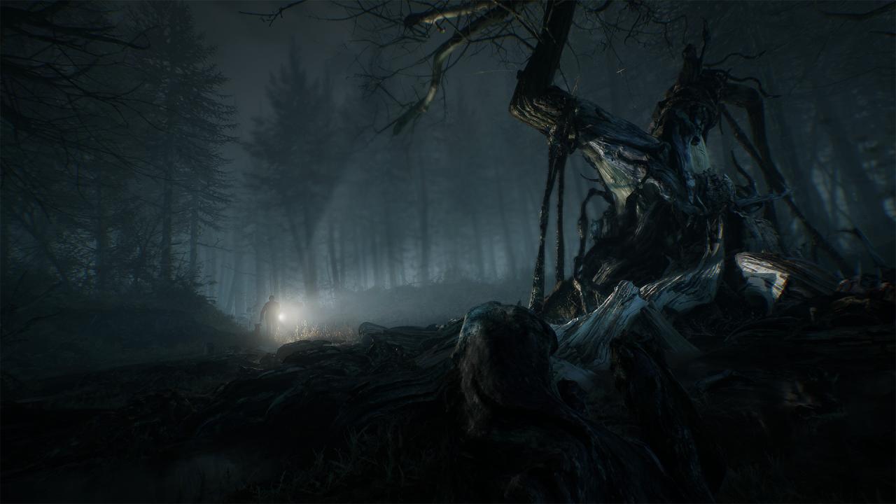 Blair Witch US XBOX One CD Key