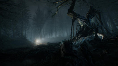 Blair Witch US XBOX One CD Key