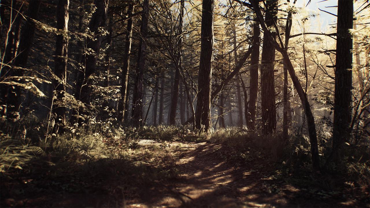 Blair Witch EU XBOX One CD Key