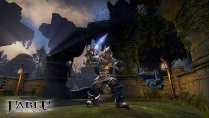 Fable Anniversary RU VPN Required Steam Gift
