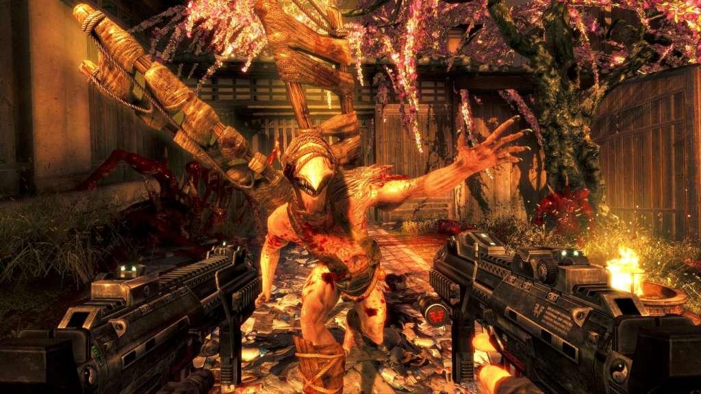 Shadow Warrior Steam Gift