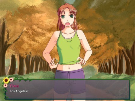 Flower Shop: Summer In Fairbrook Steam CD Key