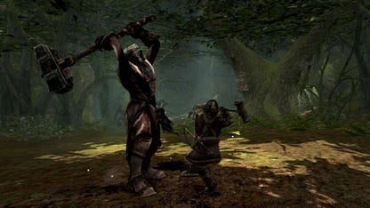 Lord of the Rings: War in the North EU Steam CD Key