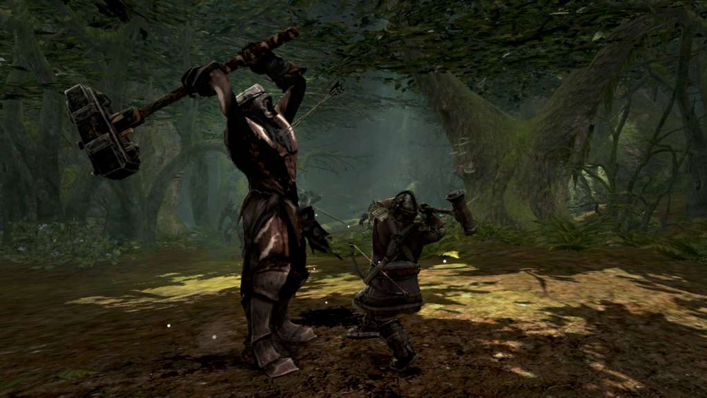 Lord of the Rings: War in the North Steam Gift