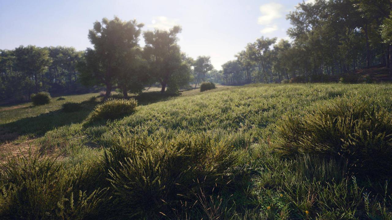 SCUM US Steam Altergift