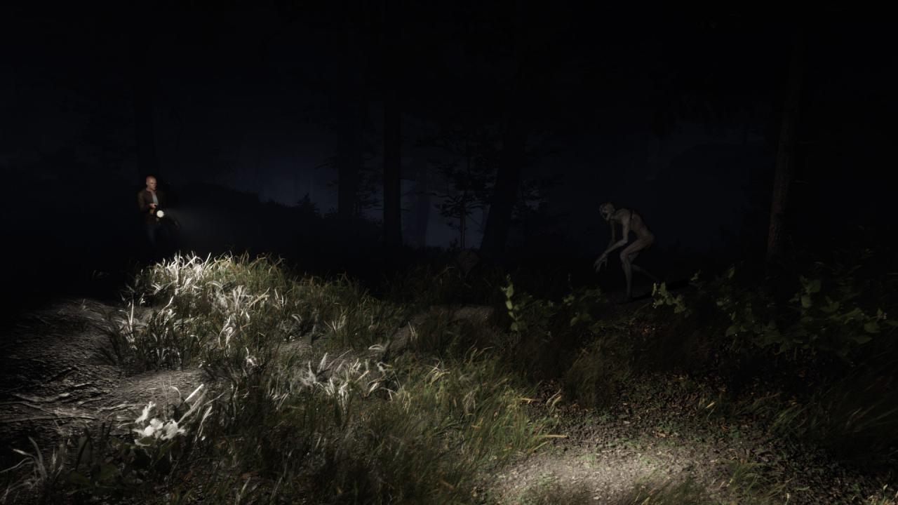 Sign of Silence Steam CD Key