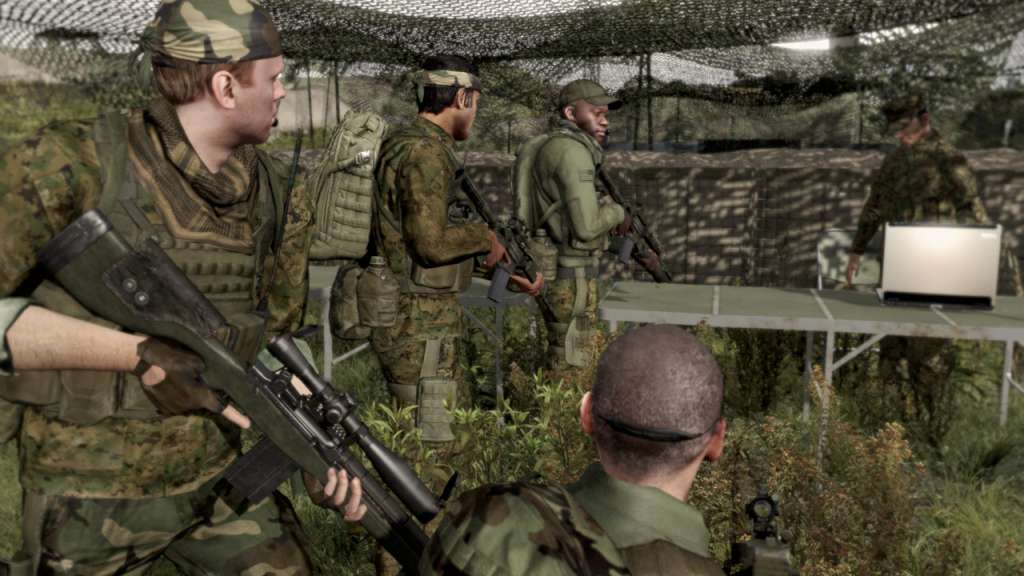 Arma II Steam Gift