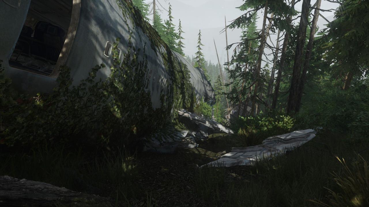 Miscreated Steam Gift