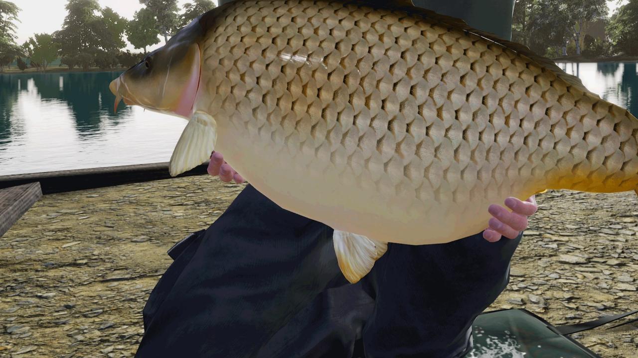 Fishing Sim World: Pro Tour - Gigantica Road Lake DLC Steam CD Key