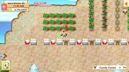Harvest Moon: Light of Hope Special Edition Nintendo Switch Online Account Activation