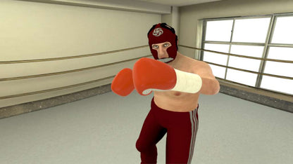 The Thrill of the Fight - VR Boxing Meta Quest Gift