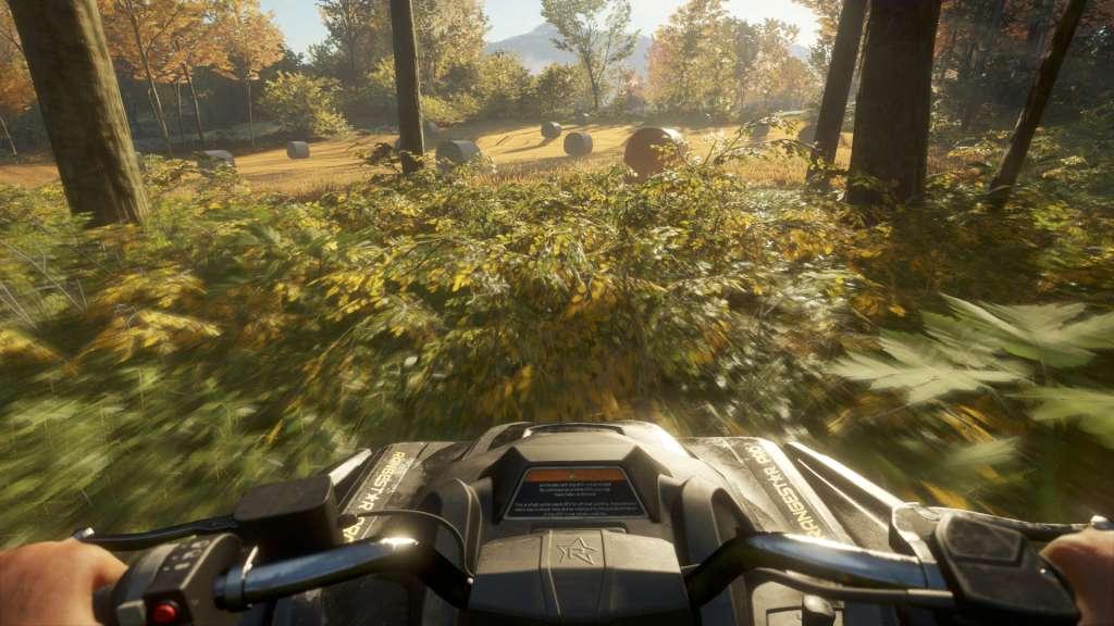 theHunter: Call of the Wild - ATV Saber 4X4 DLC Steam CD Key