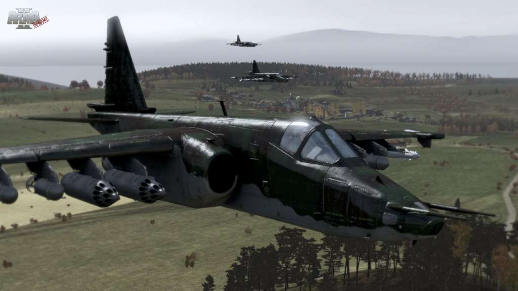 Arma II Steam Gift