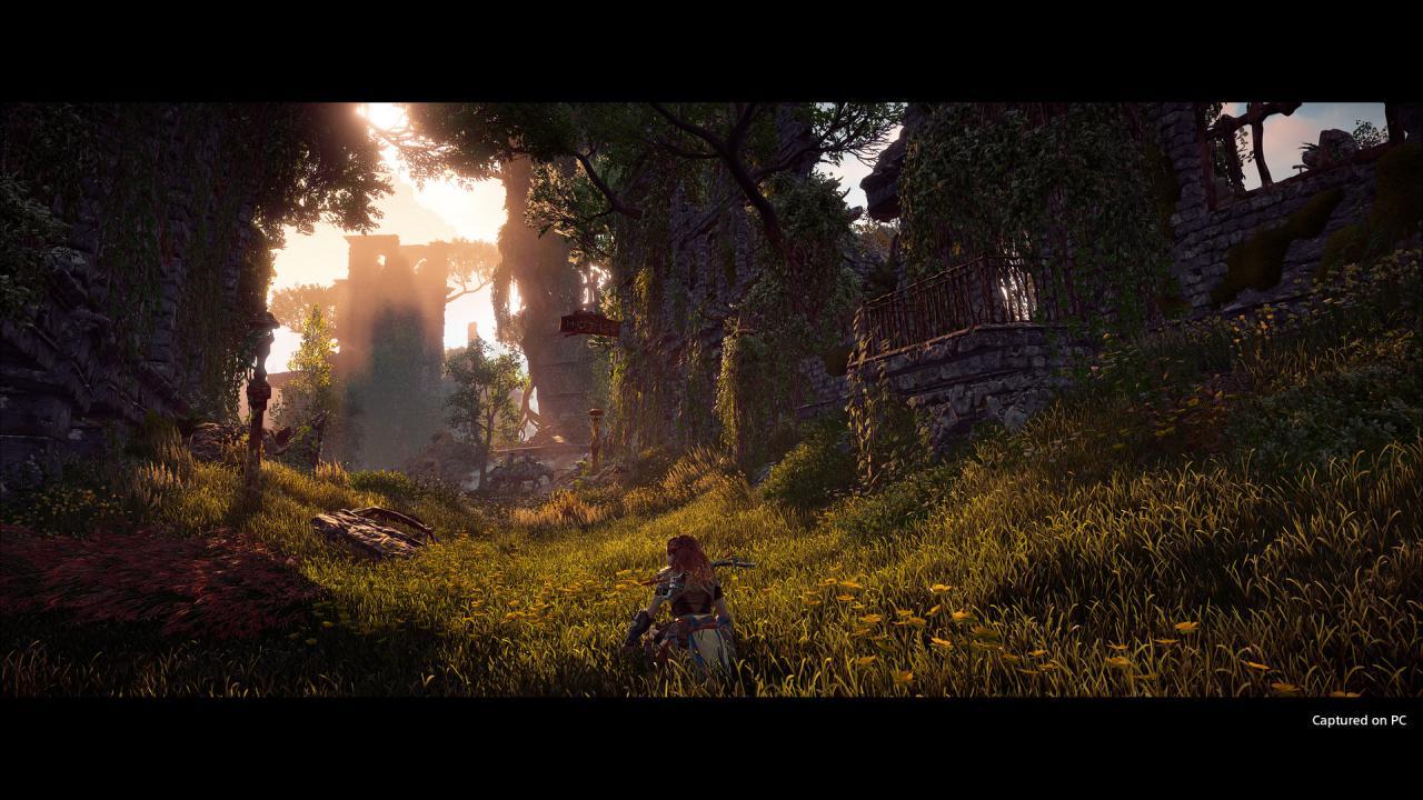 Horizon Zero Dawn Complete Edition PS4/PS5 Account