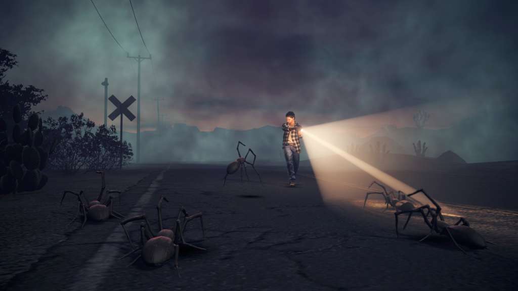 Alan Wake's American Nightmare PC Steam CD Key