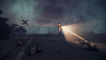 Alan Wake's American Nightmare PC Steam CD Key