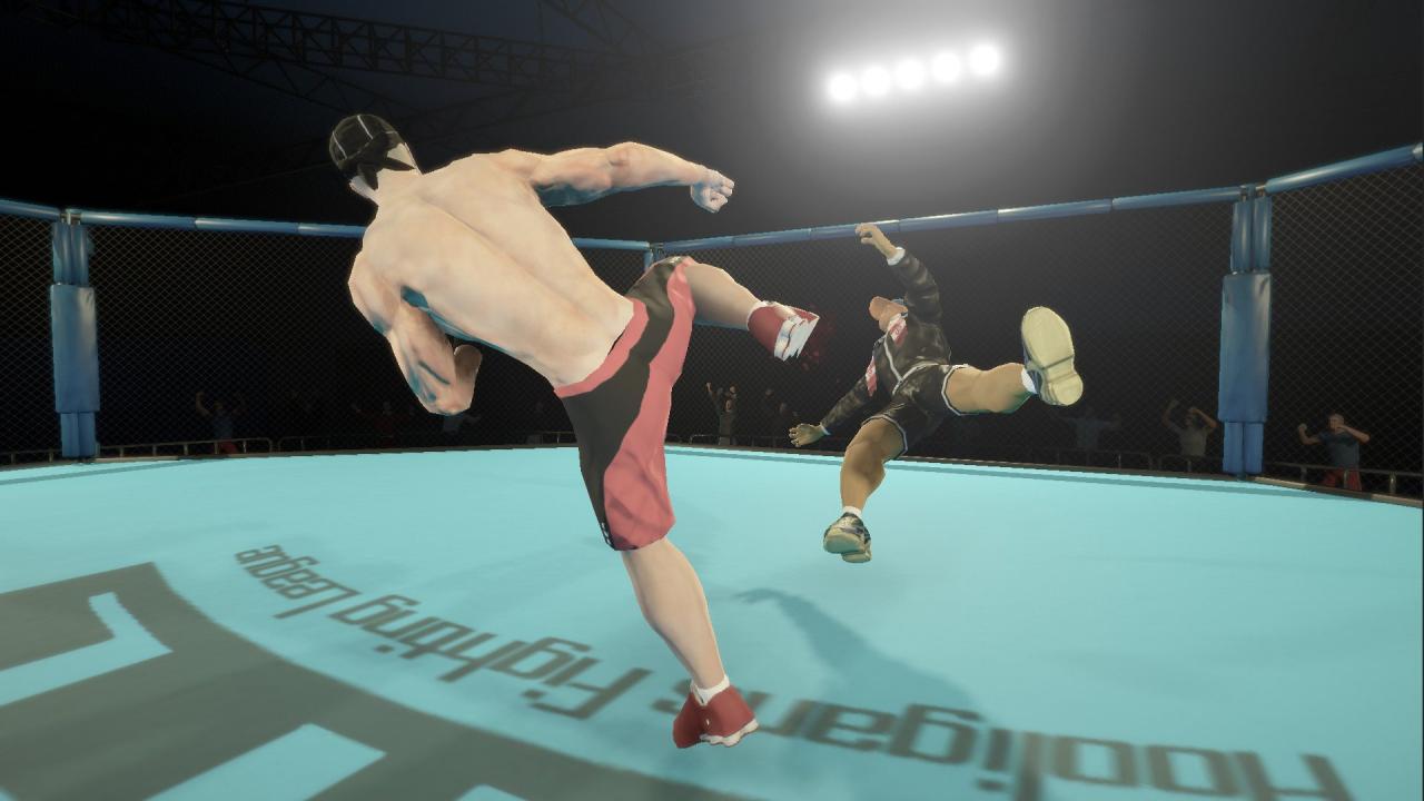Street Warriors Online - Premium Pack DLC Steam CD Key