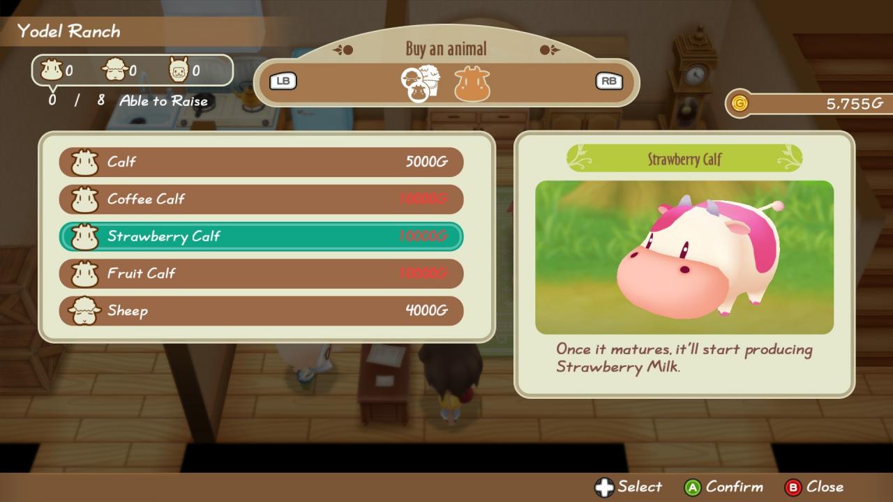 STORY OF SEASONS: Friends of Mineral Town Nintendo Switch Online Account Activation