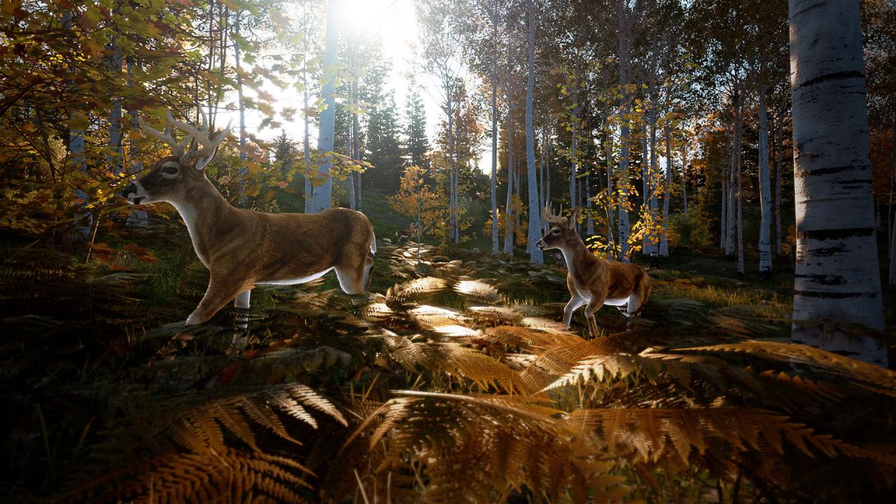 Hunting Simulator 2 PS5 Account