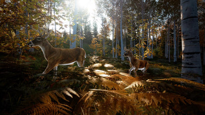 Hunting Simulator 2 PS5 Account