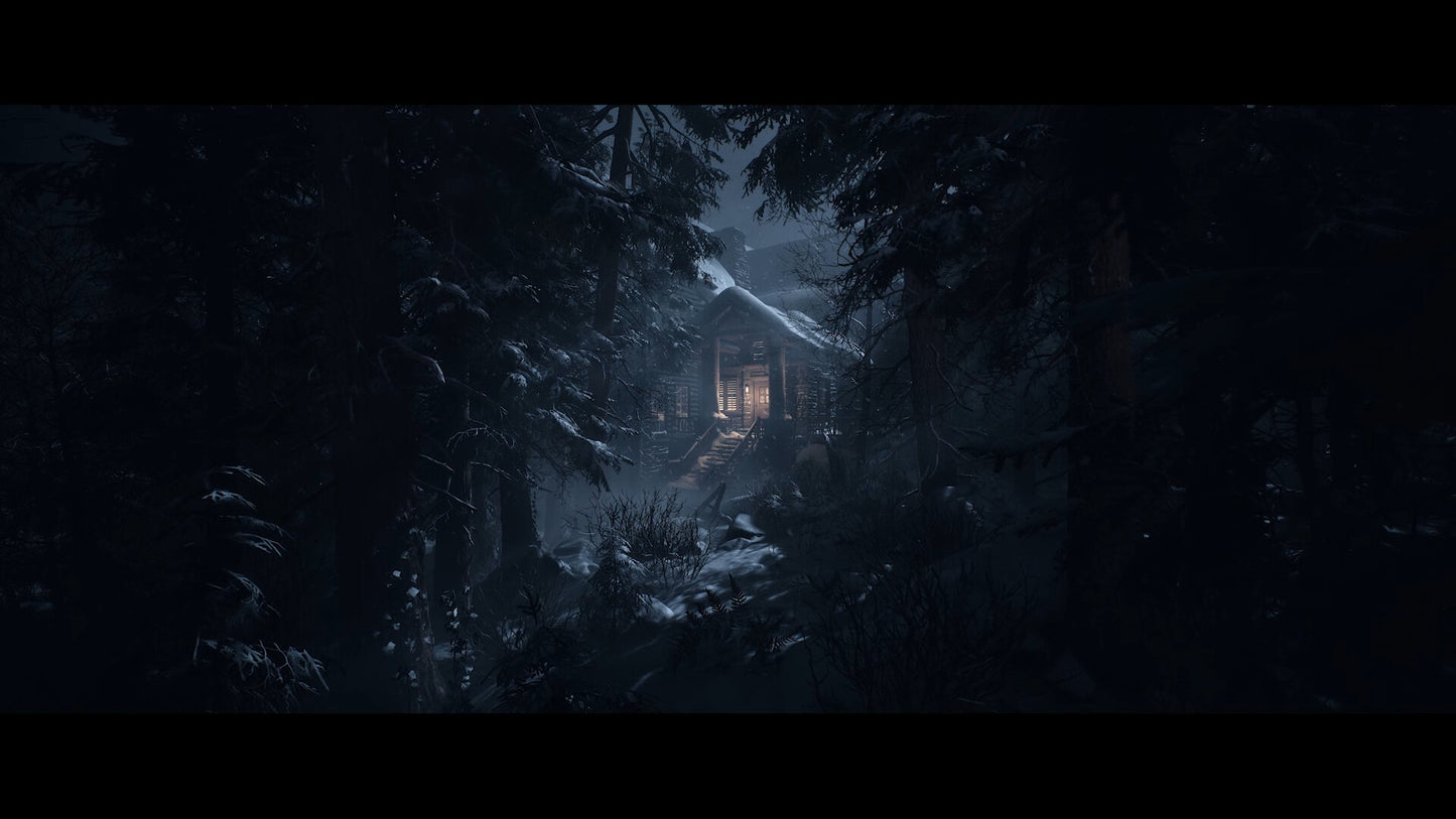 Until Dawn PS5 Account