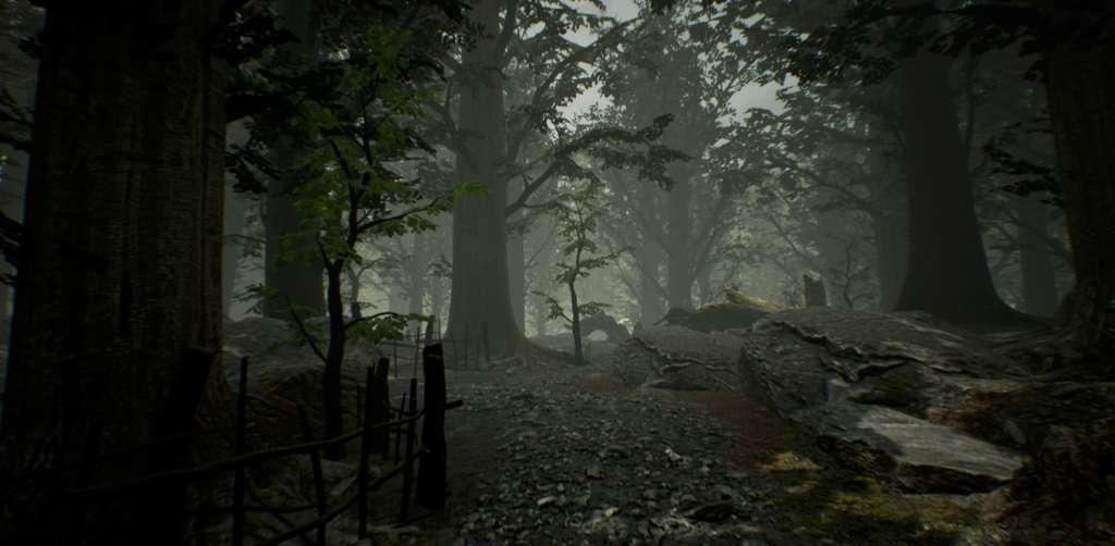 No70: Eye of Basir Steam CD Key