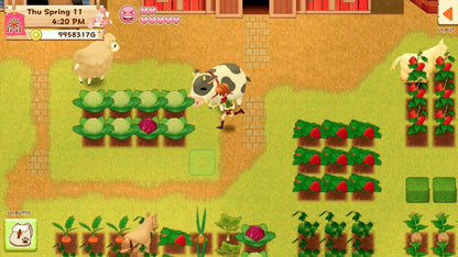 Harvest Moon: Light of Hope Special Edition Nintendo Switch Online Account Activation