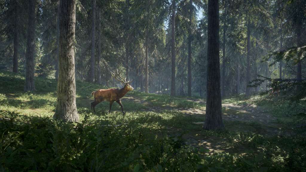 theHunter: Call of the Wild PC Windows 10 Account
