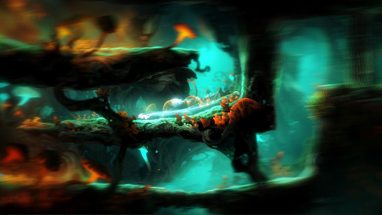 Ori and the Blind Forest: Definitive Edition US XBOX One CD Key