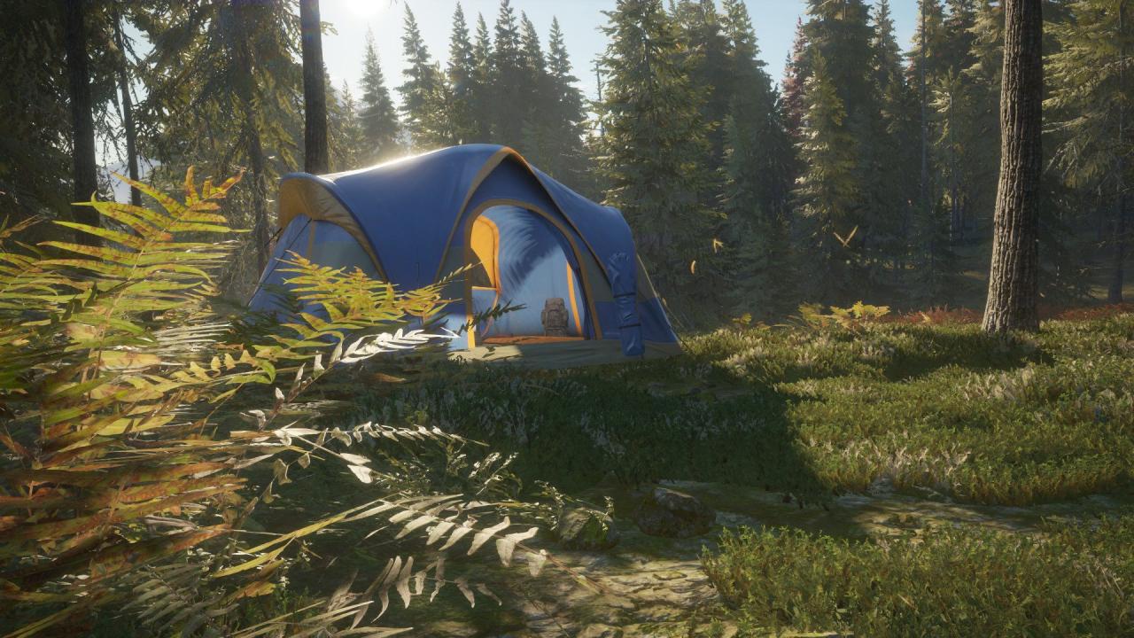 theHunter: Call of the Wild - Tents & Ground Blinds DLC PC Steam CD Key