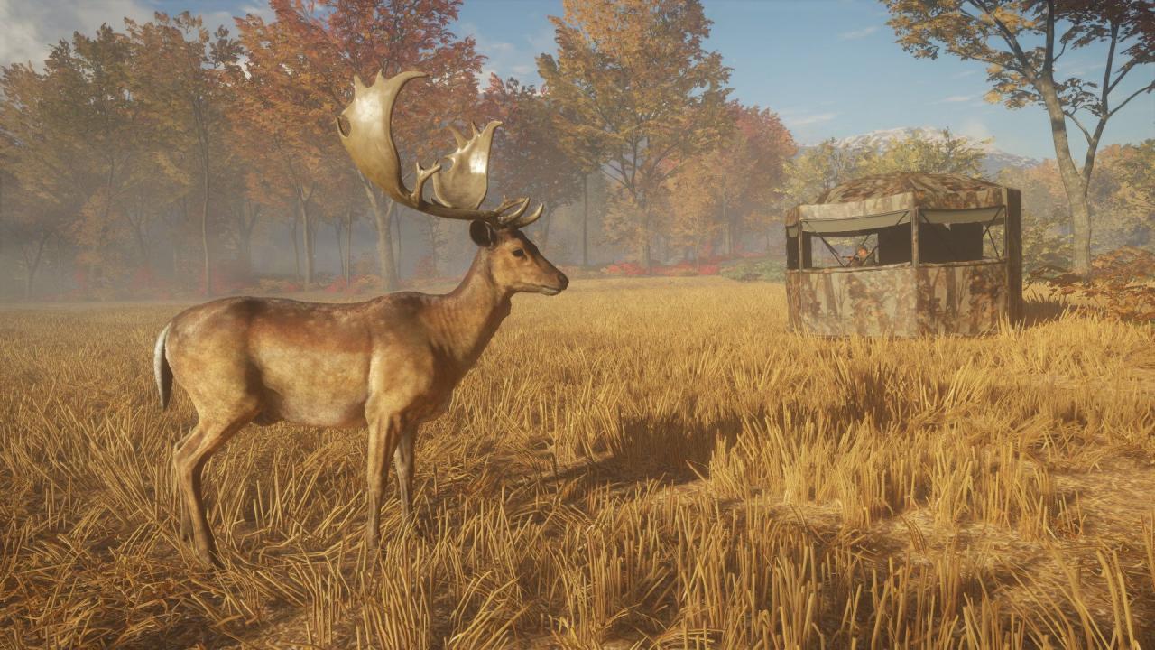 theHunter: Call of the Wild - Tents & Ground Blinds DLC PC Steam CD Key