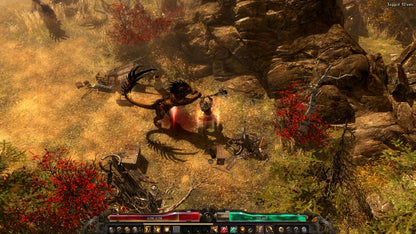 Grim Dawn Definitive Edition GOG CD Key