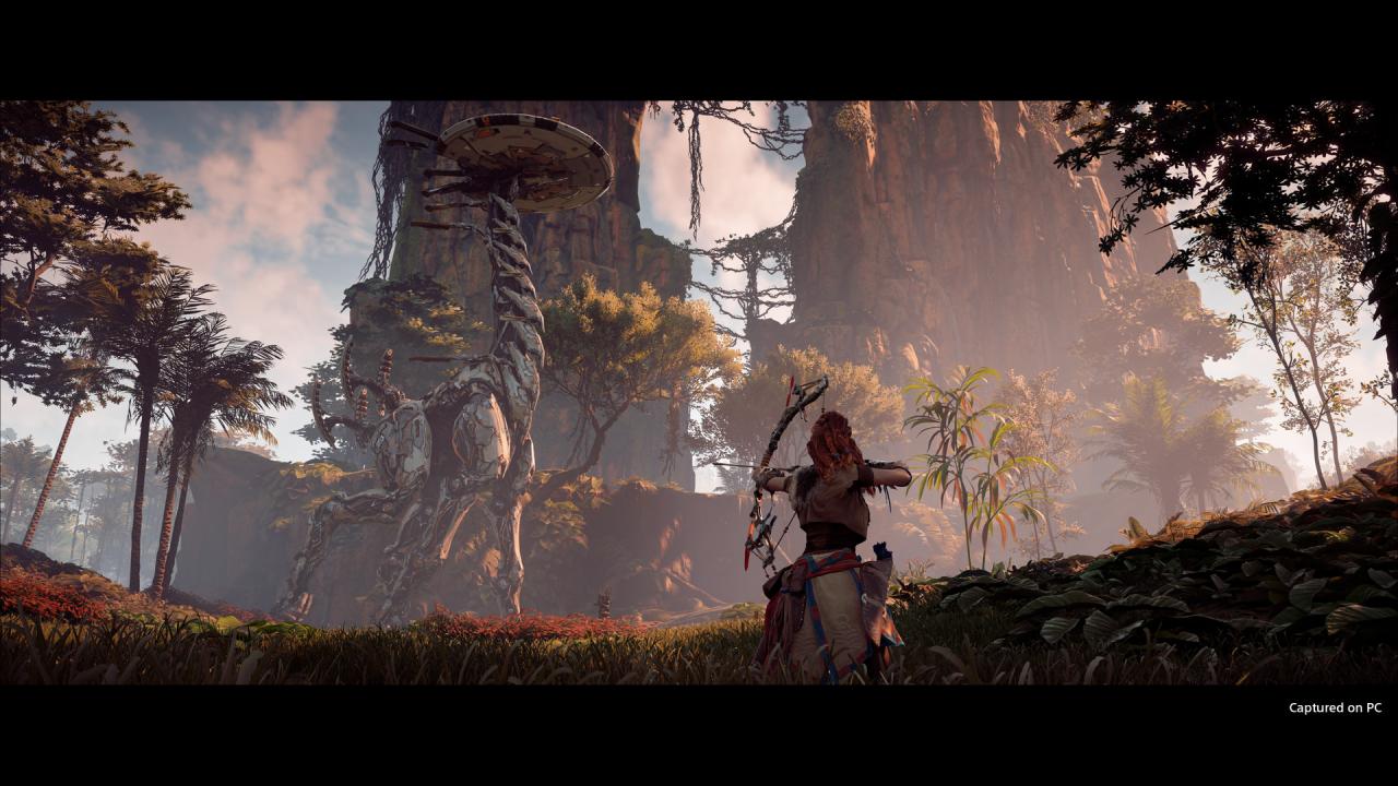 Horizon Zero Dawn Complete Edition PS4/PS5 Account