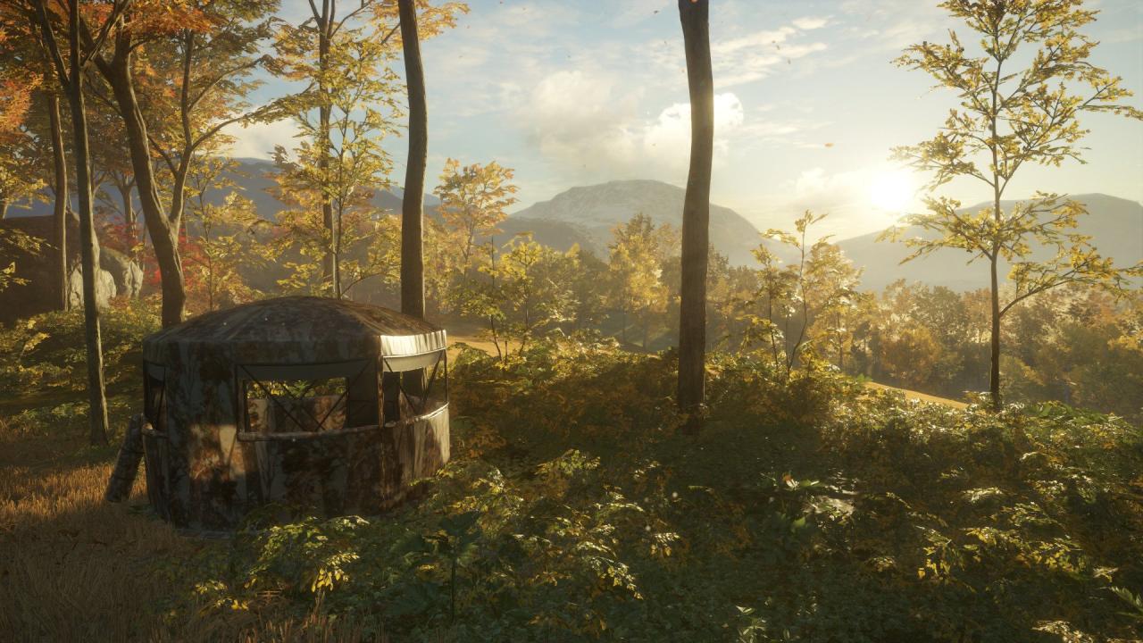 theHunter: Call of the Wild - Tents & Ground Blinds DLC PC Steam CD Key