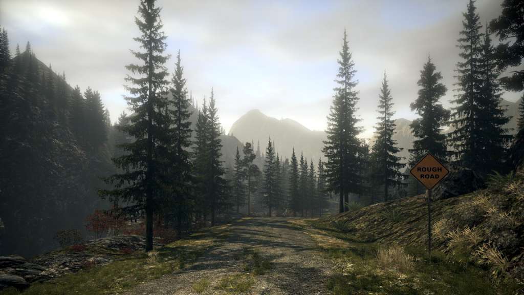 Alan Wake Steam Gift