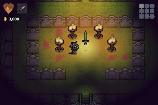 A Wizard's Lizard Steam CD Key