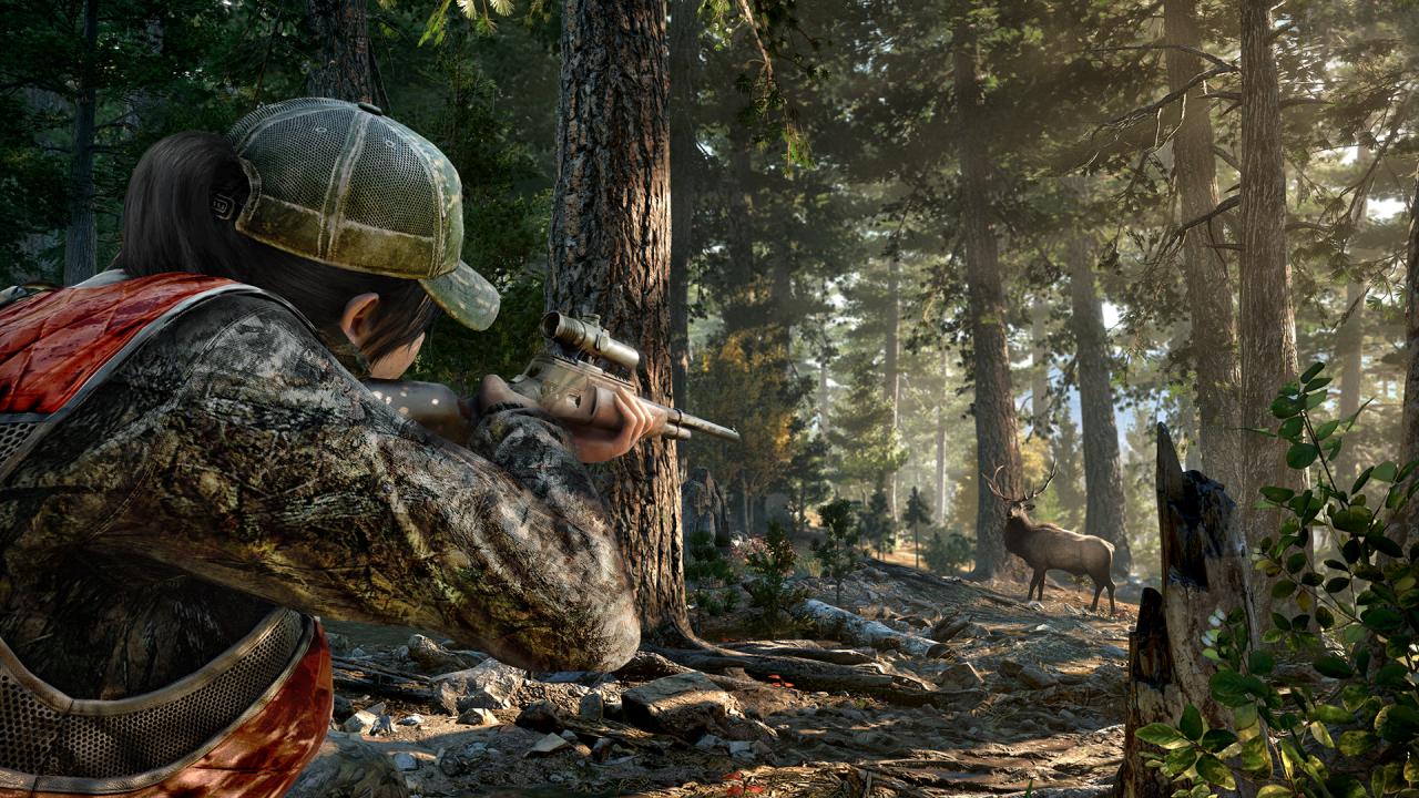 Far Cry 5 Gold Edition + Far Cry New Dawn Deluxe Edition Ultimate Bundle PS4/PS5 Account