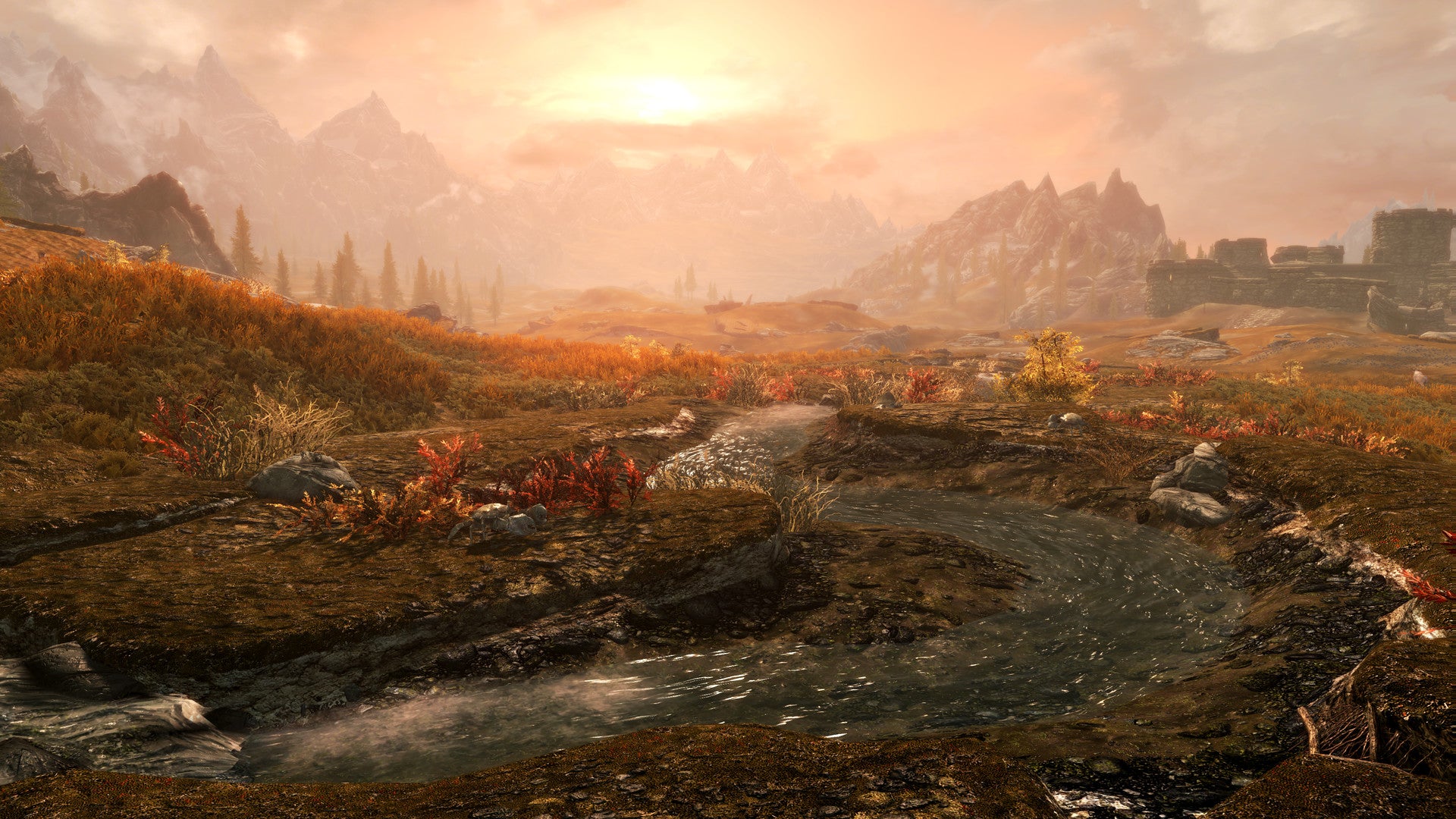 The Elder Scrolls V: Skyrim Anniversary Edition PC Windows 10 Account