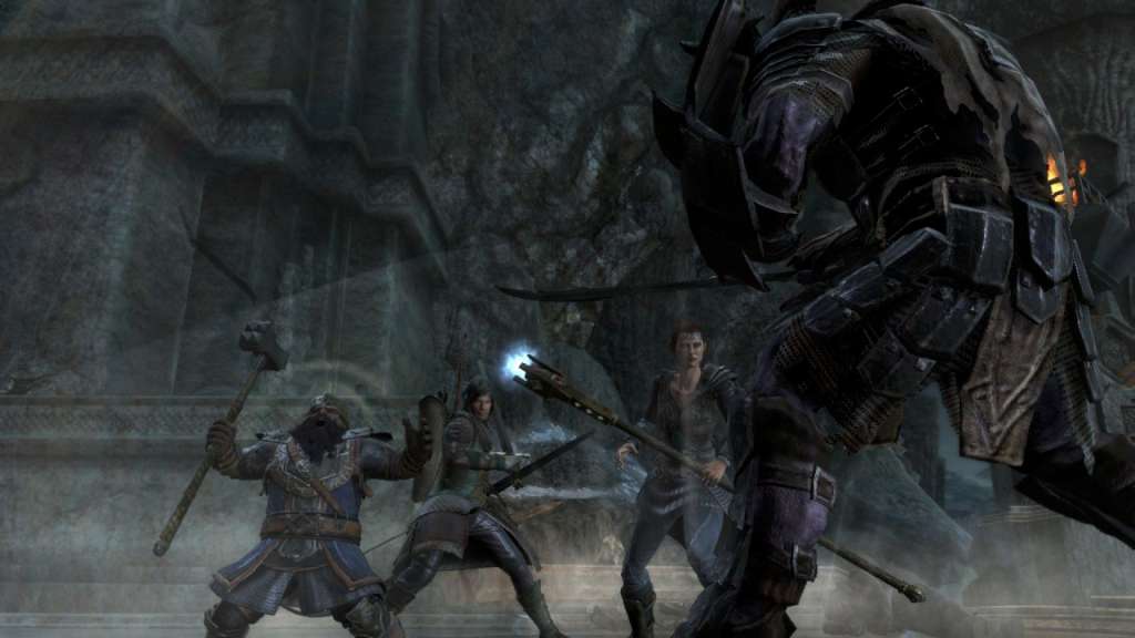 Lord of the Rings: War in the North Steam Gift